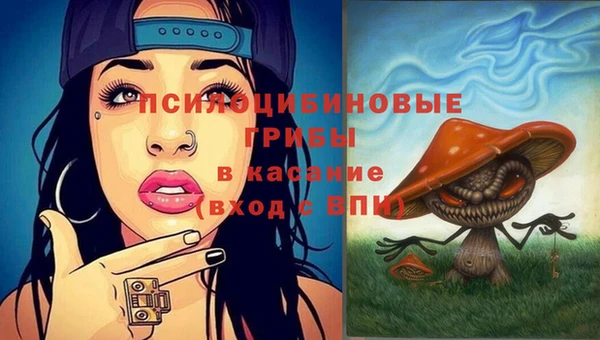 мдпв Богородск