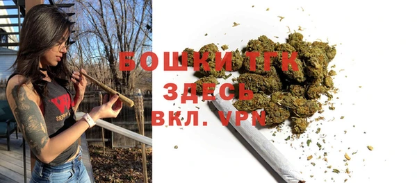 гашик Богданович