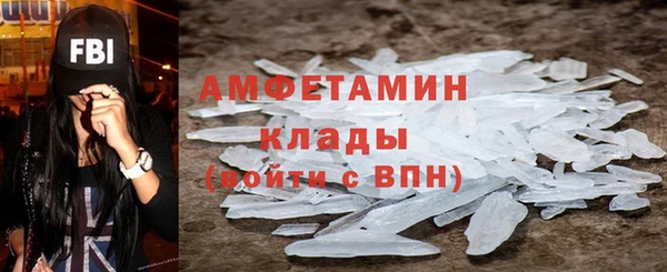 гашик Богданович