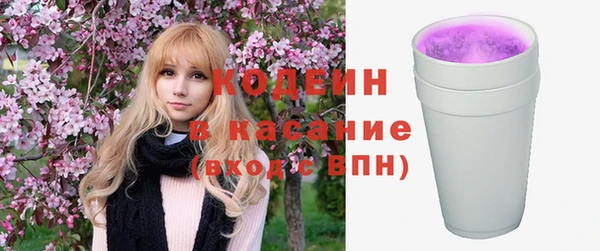 мдпв Богородск