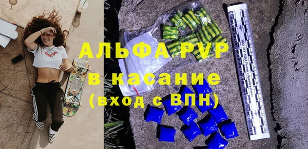гашик Богданович