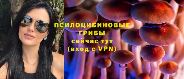 трава Краснослободск